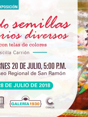 Afiche de la Exposición: “Sembrando semillas en territorios diversos: creando arte con telas de colores”.